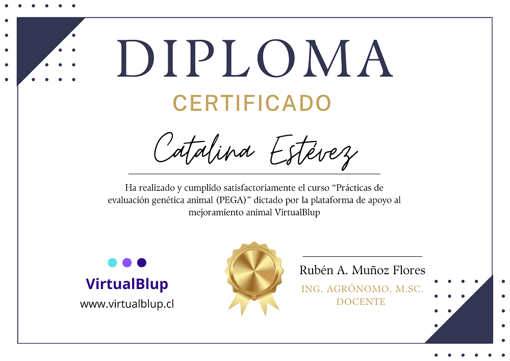 imagen certificado de aprobación del curso